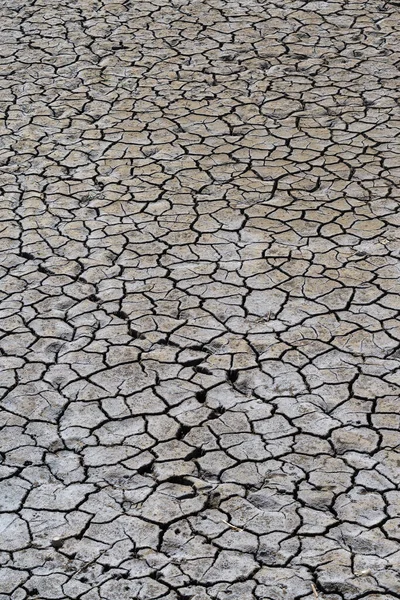 Part Huge Area Dried Land Suffering Drought Cracks — Stock fotografie