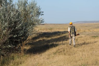 Tüfekli ördek avcısı çayırda yürüyor..