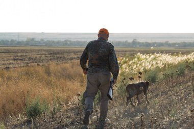 Tüfekli ördek avcısı çayırda yürüyor..