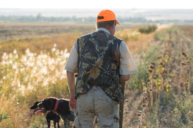 Tüfekli ördek avcısı çayırda yürüyor..