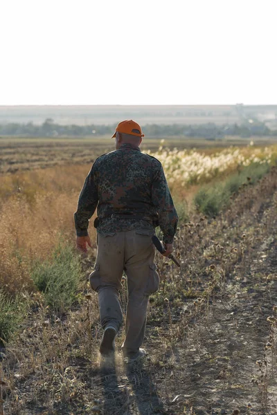 stock image Duck hunter with shotgun walking through a meadow.