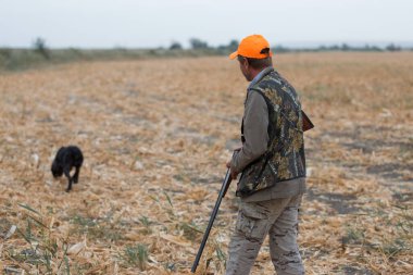 Tüfekli ördek avcısı çayırda yürüyor..