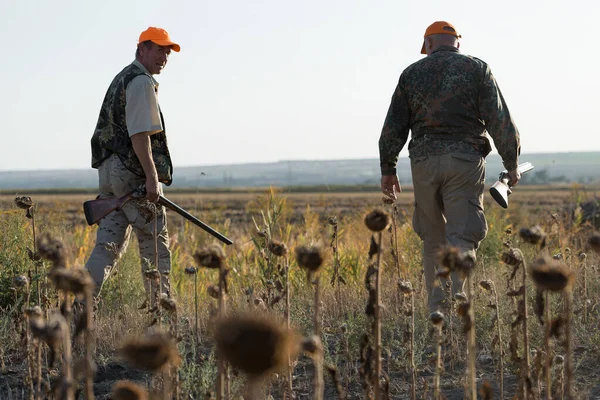 Duck Hunters Shotgun Walking Meadow — Stock Photo, Image