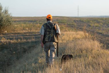 Tüfekli ördek avcısı çayırda yürüyor..