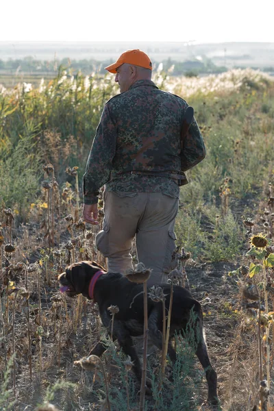 Chasseur Canards Avec Fusil Chasse Marchant Dans Une Prairie — Photo