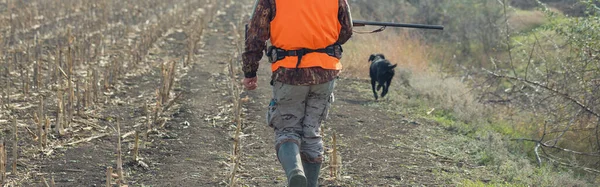 アヒルハンターで散弾銃を持った牧草地を歩く — ストック写真