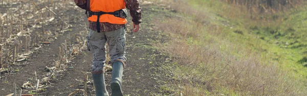 Πάπια Κυνηγός Κυνηγετικό Όπλο Περπατώντας Μέσα Από Ένα Λιβάδι — Φωτογραφία Αρχείου
