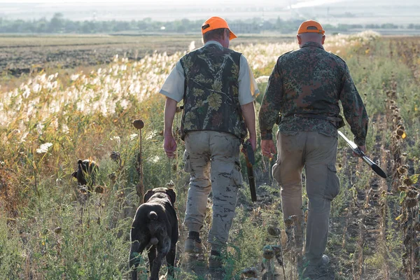 Tüfekli Ördek Avcıları Çayırda Yürüyor — Stok fotoğraf