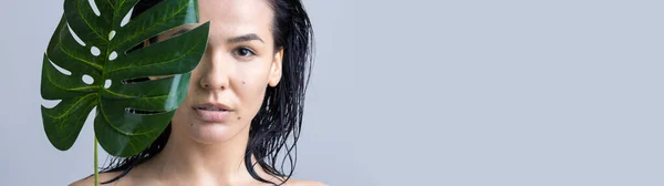 Skönhetskvinna Med Naturligt Grönt Palmbladsporträtt Mode Skönhet Make Kosmetika — Stockfoto