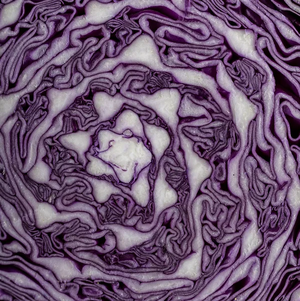 Half of the red cabbage head cut across. Close-up — Stock Photo, Image