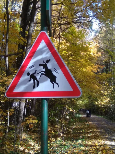 Verkeersbord pas op voor Overstekende elanden wild — Stockfoto