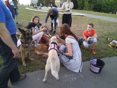 Moscow, Russia, 29 August 2018, volunteers collect donations for stray dos clipart