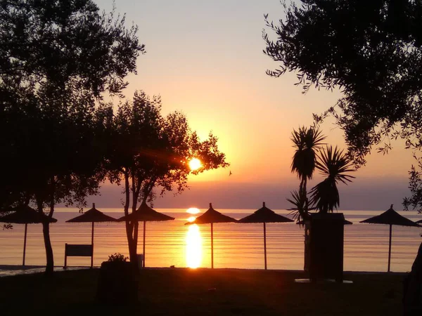 gün doğumu sırasında plajda güneş şemsiyeve ağaçlar silueti