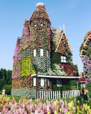 Dubai Miracle Garden ev