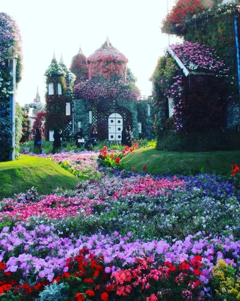 Dubai Miracle Garden evler