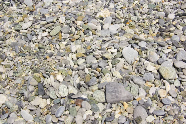 Pebbles background — Stock Photo, Image