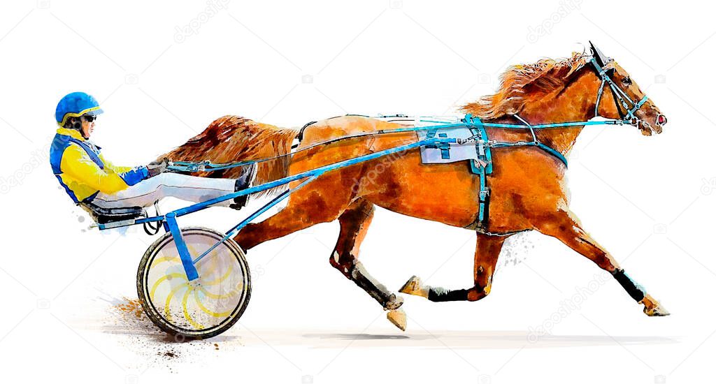 Horse. Equestrian sport. Trotter race. Jockey. Harness racing. Watercolor painting illustration. Hippodrome. Isolated on white background