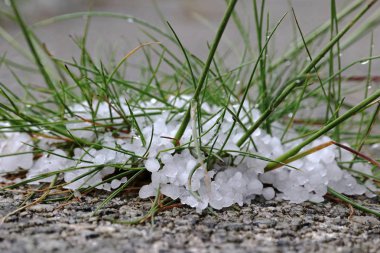 Fırtına ağır dolu ve karla karışık yağmur duş ile. Doluya yere
