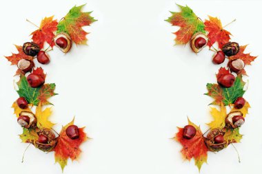 Renkli sonbahar yaprakları ve hafif ahşap arka plan üzerinde kestane