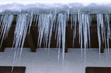 Big dangerous icicles on a house roof in winter clipart