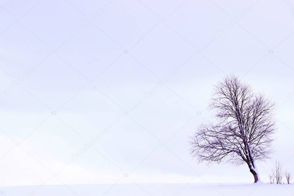 Minimalist winter landscape with a tree on a snowy field