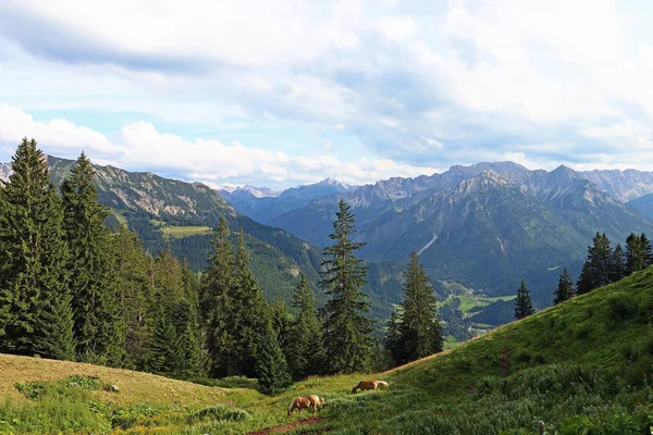 Bergslandskap Och Bergsklättring Allgaeu Alperna Bergen Oberjoch Allgaeu Med Två — Stockfoto
