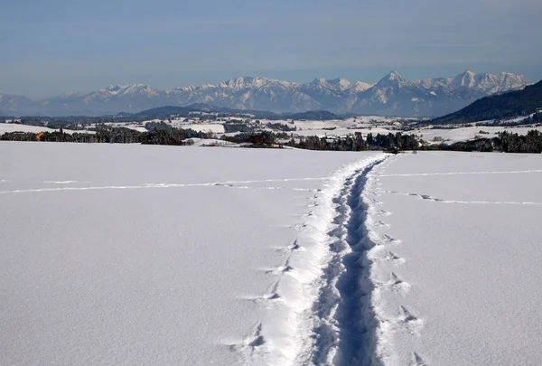Sporen Van Een Wandelaar Sneeuwschoentrails Sneeuw Korting Allgu Alpen Beieren — Stockfoto
