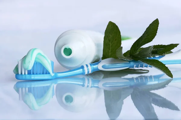 Toothbrush and toothpaste for healthy teeth and fresh breath