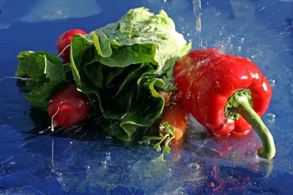 Gezond Vers Voedsel Verse Paprika Radijs Wortelen Salade Voor Een — Stockfoto