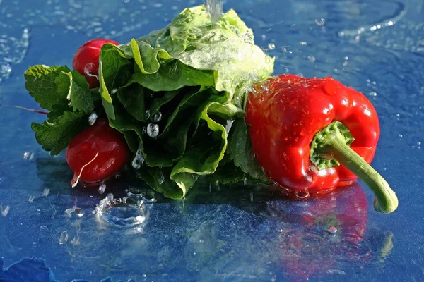 Gezond Vers Voedsel Verse Paprika Radijsjes Salade Voor Een Gezond — Stockfoto