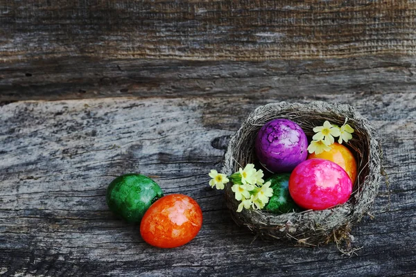 An Easter nest with colourful Easter eggs and primroses on a wooden background