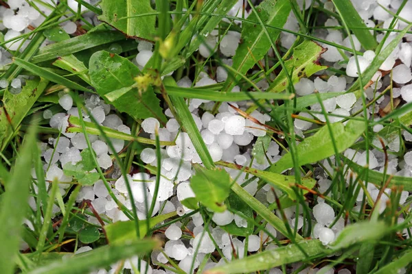 Orage Avec Forte Grêle Averses Neige Verglacée Grêlons Sol — Photo