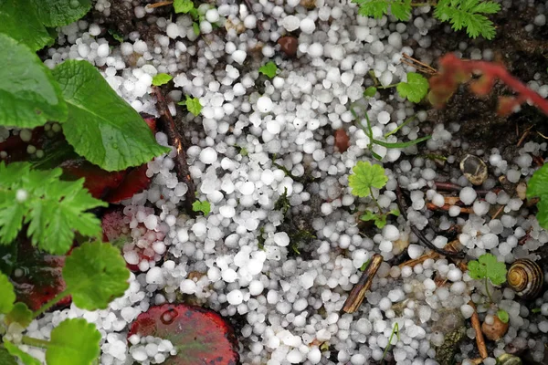 Orage Avec Forte Grêle Averses Neige Verglacée Grêlons Sol — Photo