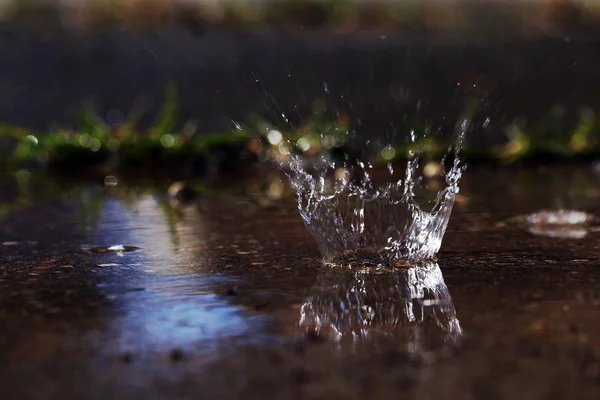 Una Gran Gota Lluvia Golpea Suelo — Foto de Stock