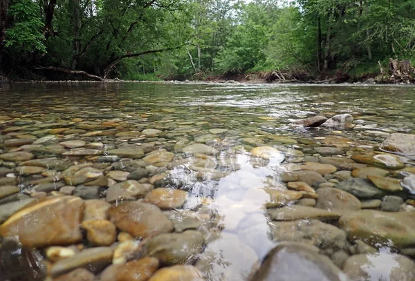 Moitié Sous Eau Moitié Dessus Eau Photographie Une Rivière Propre — Photo