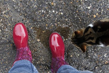 Kırmızı lastik çizmeler, yağmur birikintisi gibi bir kalp ve meraklı bir kedi.