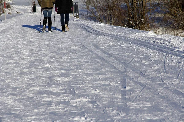 Două Femei Merg Plimbare Iarna — Fotografie, imagine de stoc