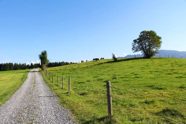 Vandringsled Bayern Vandring Bayern Sommaren — Stockfoto