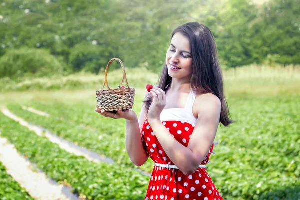 Joven Mujer Recoge Fresas Campo Fresas —  Fotos de Stock