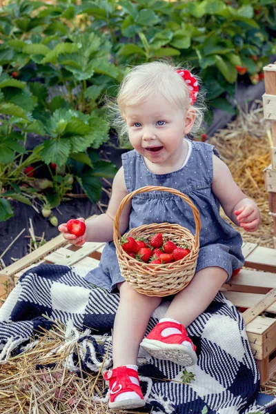 Ragazzina Che Mangia Una Fragola Campo Fragole — Foto Stock