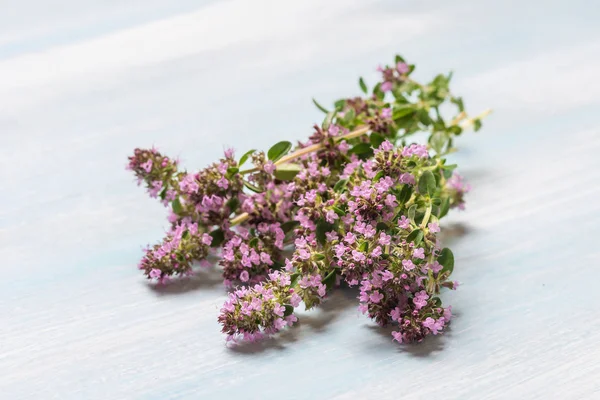 Bunch Flowering Oregano Wooden Table — Stock Photo, Image