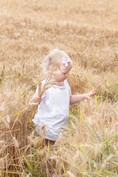 Little Girl Resting Wheat Field — Stock Photo, Image