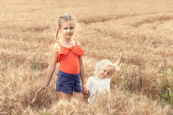 Crianças Brincando Campo Trigo — Fotografia de Stock