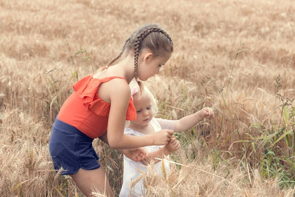 Маленькі Діти Грають Пшеничному Полі — стокове фото