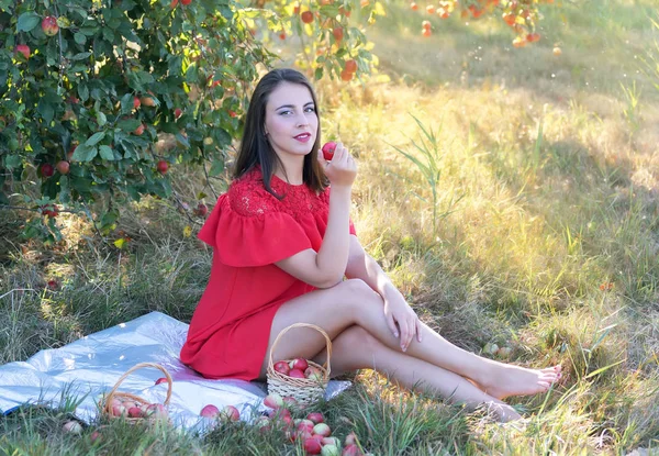 Mladá Žena Sklízí Jablka Zahradě — Stock fotografie