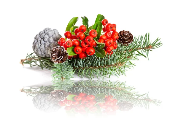 Ramo Uma Árvore Natal Com Cones Bagas Vermelhas — Fotografia de Stock