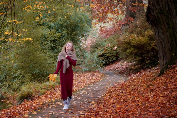 Porträtt Ung Kvinna Höst Park在秋天公园的年轻女人肖像 — 图库照片