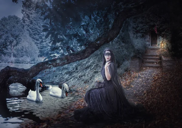 Hexe am See füttert die Schwäne. Abstraktes Bild — Stockfoto
