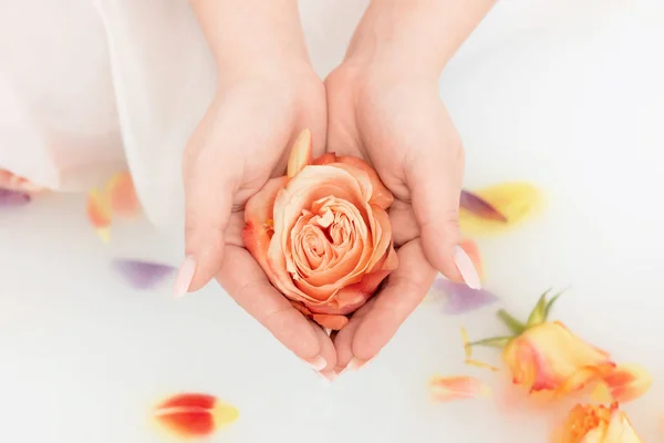 Des boutons de roses dans les manteaux féminins. Fond du spa — Photo