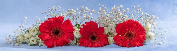 Çiçeklerin panoramik görüntüsü. Gül, Gerbera, Astra — Stok fotoğraf